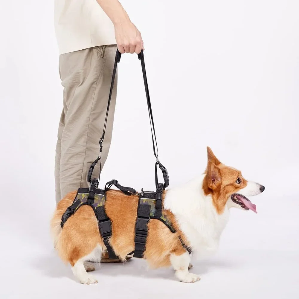 Coodeo Dog Lift Harness, Full Body Support & Recovery Sling (Medium)